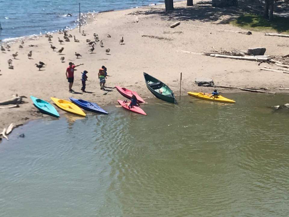 Pickering Rouge Canoe Club Canoe, Kayak, Outrigger and Dragon Boat